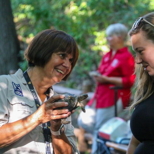 This #VolunteerAppreciationWeek, we are shining a spotlight on our incredible volunteers and docents! You are the heart of our Zoo, sharing your passion for the natural world and dedicating your time and energy to inspire others with your knowledge. In 2023, our volunteers generously donated over 19,000 hours! Thank you for making a difference every single day. 🙌🏽
.
.
.
#volunteers #thankyou #naturalworld #conservation #rwpzoo #volunteerweek