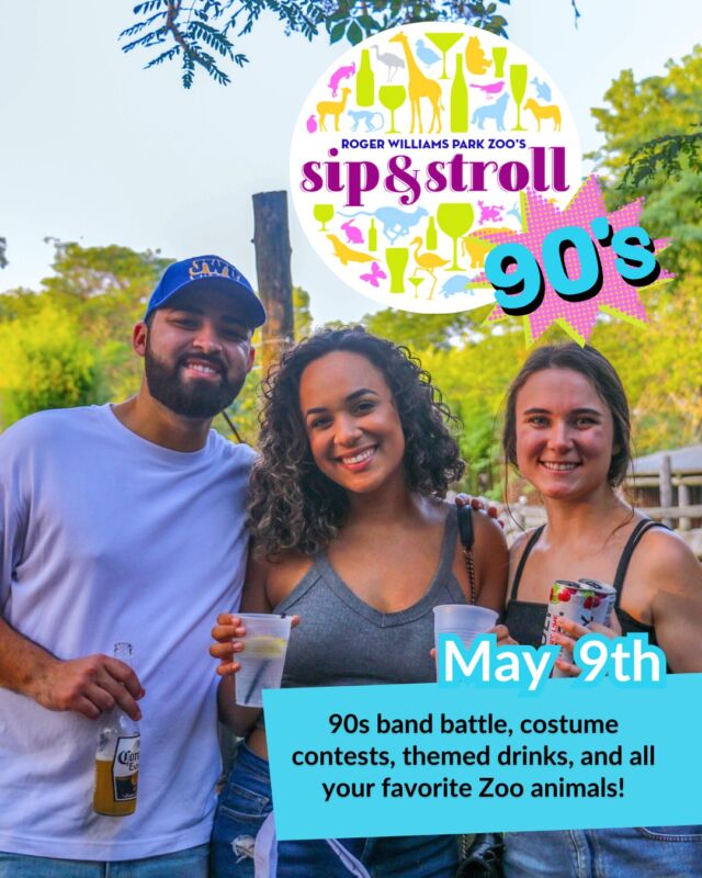 Still time to dust off your fanny packs! Sip & Stroll at the Zoo is ONE week away!  Live music, wild prizes for best 90s outfits, animal encounters, and specialty drinks! Don't miss out - grab your crew (21+) and support the zoo! Get tix – link in bio
.
.
.
#sipandstroll #90snight #rhodeisland #battleofthebands #pvd #providence #rwpzoo