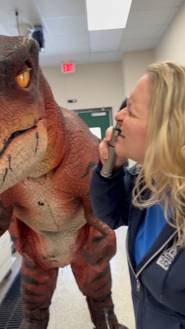 Instagram post 17925146691048480