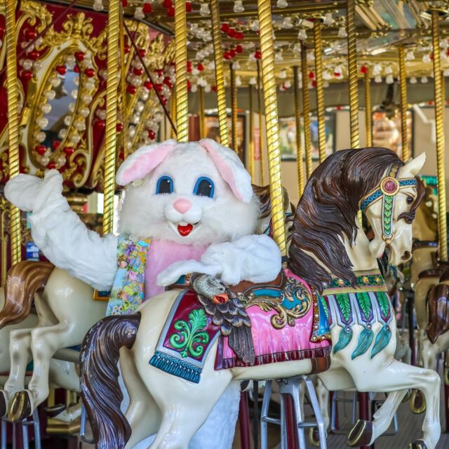 🐰 Everybunny's invited! Hop on over to Carousel Village this weekend to visit with the Easter Bunny. For only $5 you can meet the Easter Bunny and grab an adorable photo! Plus, you can ride the carousel for some rainy day fun with the family. VIP experiences also available. Spring over to bit.ly/rwpzbunny25 for more info. 🐣