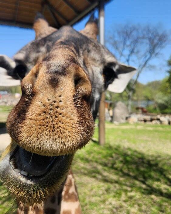 Enzi says to keep your head high, it’s almost Friday! 😄