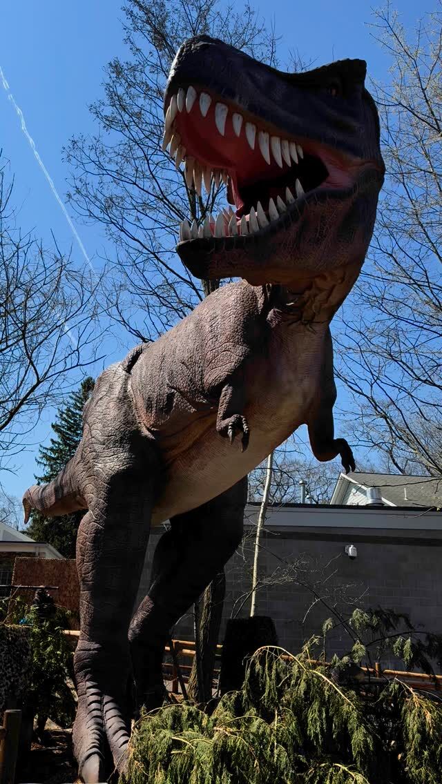 Step into a world of prehistoric pandemonium! 🦖🦕 Return of the Dinosaurs immerses you in a world where Jurassic giants and curious herbivores have roared back to life and taken over the Zoo. 

Experience the wild wonder and discover the untold secrets of the dinosaurs’ return- now through August 10! Plan your visit today at rwpzoo.org/dinosaurs or link in bio. 

#dinosaurs #familyfriendly #rhodeisland #familyfun #toddlerfun #animals #zoo #rwpzoo