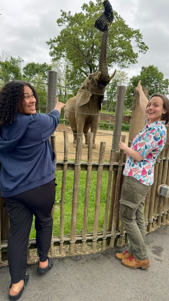 It’s always a good time at the Zoo! 😎🐘🦅🦖