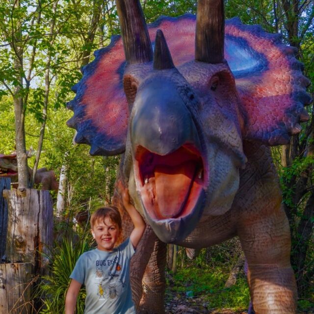 🦕 GIVEAWAY ALERT! Enter to win Dinos at Dusk tickets!🦖 

Ready for a prehistoric party? 🦕 Dinos at Dusk on June 14th is a family friendly evening at the Zoo where the dinos come alive as the sun goes down. 🌅 Your ticket includes access to the entire Zoo and the Return of the Dinosaurs walk-through experience featuring nearly 60 life-size animatronic dinosaurs!

TO ENTER:
🦖 Like this post
🦖 Follow us
🦖 Comment your favorite dinosaur!

Whether you're team T-Rex or love a gentle Brachiosaurus, let us know below! 🦴
Winners will be chosen at random on Thursday, June 5th and contacted via DM — don’t miss your chance to stomp into the fun! 🎟️