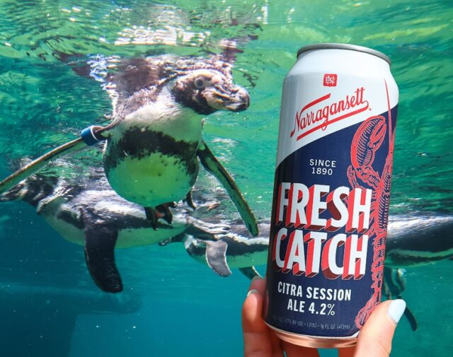GIVEAWAY ALERT! 🎉🐧✨ Get ready for a flippin’ fantastic time! We’ve partnered with the one and only @gansettbeerpvd to give YOU a chance to win a PAIR of VIP tickets to Zoobilee on Saturday, June 28th! ✨

Get set for a night of truly WILD fun, all while supporting wildlife and wild places. Indulge in delicious bites from dozens of the area’s top restaurants and sip on refreshing cocktails. And yes, our pals at Narragansett Brewery will be there pouring their famously refreshing brews! 🍻

TO ENTER:
❤️ LIKE this post!
👯 TAG a friend in the comments who you’d bring to this unforgettable party!
➡️ FOLLOW both @rwpzoo AND @gansettbeerpvd !

One winner will be chosen at random on Monday, June 9th and contacted via DM - good luck!

⚠ No purchase necessary. This promotion is in no way sponsored, endorsed or administered by, or associated with Instagram.