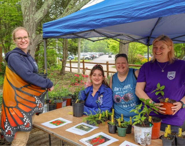 It's #PollinatorWeek, and we’re going wild for pollinators?! 🦋 We've been busy planting native gardens and giving away plants to help create vital habitats for butterflies, bees, and more right here in Rhode Island! Learn more about how your Zoo is making a difference and how you can help by reading the full article: bit.ly/rwpzoo_protectpollinators 

#pollinatorgarden #monarchbutterfly #pollinatorfriendly #weareAZA