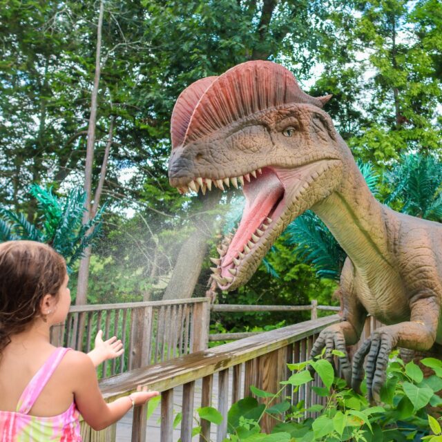 🦖🤯 Don't miss Return of the Dinosaurs, a completely reimagined dinosaur experience! Immerse yourself in a Jurassic journey filled with fierce predators, gentle giants, and surprises around every turn. 

This all-new dino experience is unlike anything you’ve seen before— new species, new thrills, and GIANT roars! Your adventure awaits, plan your visit NOW - August 10th. bit.ly/rwpzoo_dinos or link in bio 🦕