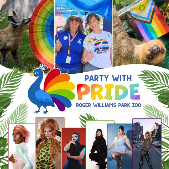 🦓🌈✨Party with Pride Ticket Giveaway! We’ve teamed up with our amazing friends at Haus of Codec to give away 4 PAIRS of tickets to Party with Pride on July 19th!

This 21+ event is your chance to embrace your wild side and celebrate the LGBTQIA+ community after hours at the Zoo. Think Queer-e-oke, fabulous drag performances, and “Nature is Queer” animal chats. Plus, there will be specialty themed cocktails and plenty of opportunities to connect with local LGBTQIA+ organizations.

Here’s how to enter to win:
❤️LIKE this post!
🌈FOLLOW both @rwpzoo and @hausofcodec
👯 TAG the friend you’d bring to Party with Pride in the comments below!

Giveaway ends July 6th at midnight. Winners will be announced on Monday, July 7 and contacted via DM. Good luck, party animals!