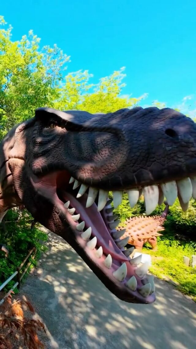Why watch Jurrasic World on the big screen when there's a world of Jurassic wonder to explore right here at the Zoo? 😏🦕

Skip the screen and step into the scene, dinosaurs are roaring to life at the Zoo! Return of the Dinosaurs is running NOW - August 10th. Run, don't walk to grab your tickets NOW! 🦖 rwpzoo.org/dinosaurs
