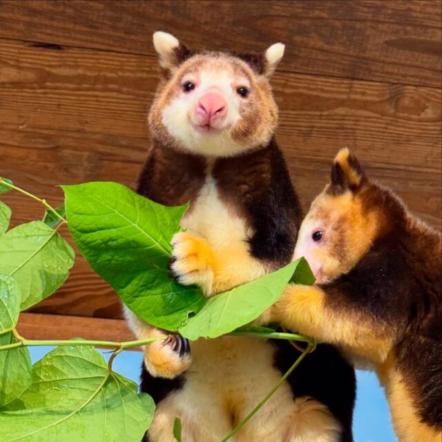 Feelin’ tree-rific because it’s FRIDAY! 🤗🌱