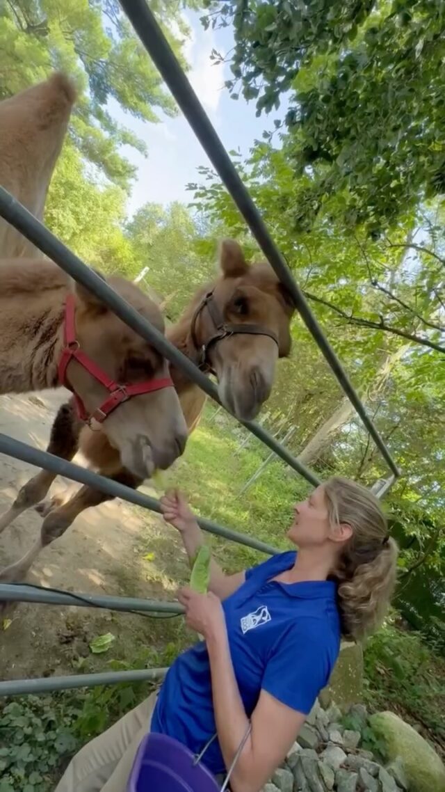 🎥 Roll the intro- it’s the Zoo Crew you know and love! 💛 #zookeeperweek 

Video inspo: @tennesseeaquarium 🤭