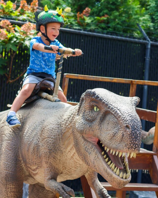 🦖⚠️ EXTINCTION ALERT! It’s the final weekend of Return of the Dinosaurs- catch them before they go extinct!⁠ 

Make it a night to remember at Dino Family Night this Saturday. Enjoy the Zoo after hours with tons of family fun- experience the dino trail at dusk, fun rides, and more! 🤩 Learn more: bit.ly/dinofamilynight 🦕