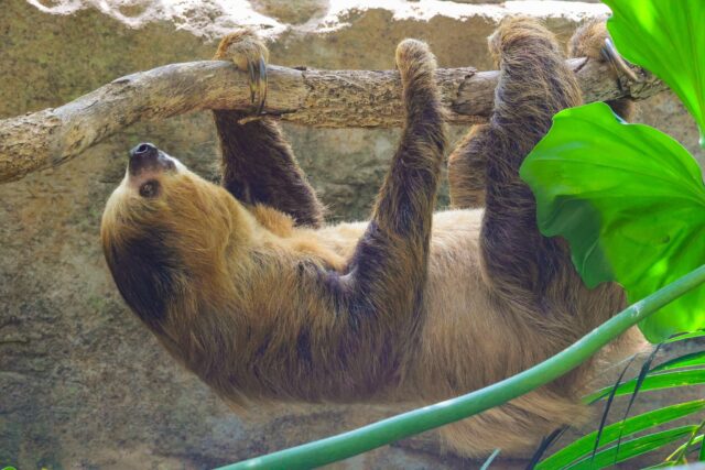 On a scale of 1 - Fiona, how slow are you moving today after the holiday weekend? 🦥