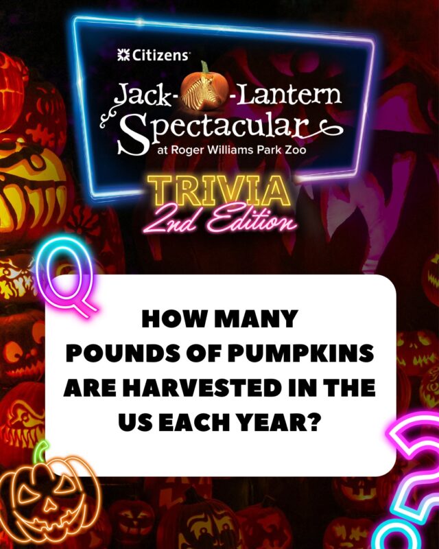 It's Trivia Thursday! Time to test your spooky knowledge. 👻 Thanks to @citizensbank, we're giving away 4 tickets to the Jack-O-Lantern Spectacular. Like this post and leave your answer in the comments for a chance to win!

⚠ No purchase necessary. This promotion is in no way sponsored, endorsed or administered by, or associated with Instagram. One lucky person with the correct answer will be chosen at random each week on Friday afternoon. We will never ask for any personal/financial information or to click external links. Please beware of potential scam.

Share this post so your friends and family can play! #trickortrivia #jackolanternspectacular