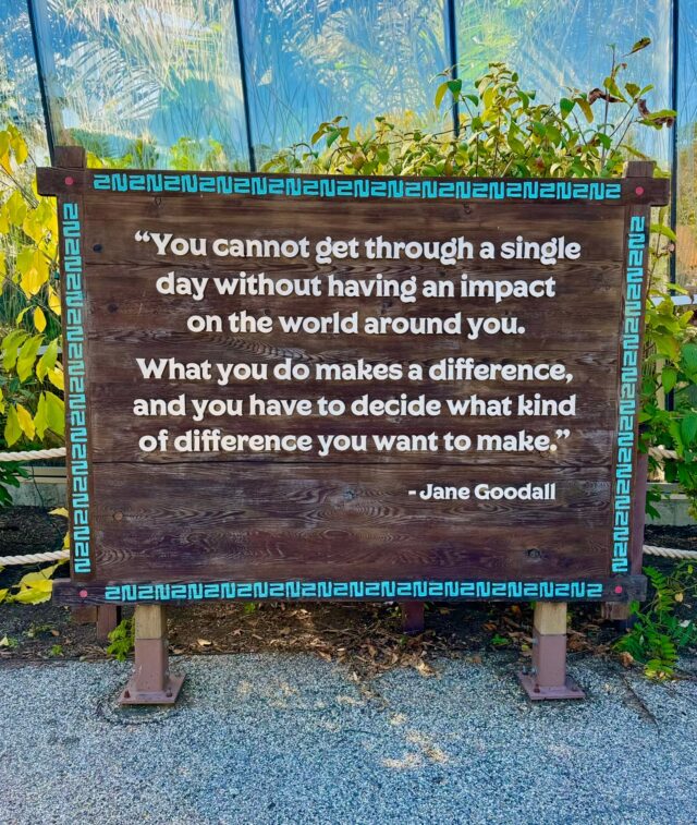 We are truly saddened to hear of the passing of Dr. Jane Goodall, renowned conservationist and ethologist. Her dedication to protecting the natural world has left a lasting impact that will continue to inspire generations to come. 

In her book, "Hope for Animals and Their World", Dr. Goodall emphasized the importance of protecting even the smallest of creatures, like the American burying beetle. She has written about and supported the work of individuals dedicated to saving the species, such as Lou Perrotti, RWPZoo's Director of Conservation. 

Dr. Goodall showed us what it means to live with intent, curiosity, humility, and love for all creatures. She will be sorely missed by all of those whose lives she touched.