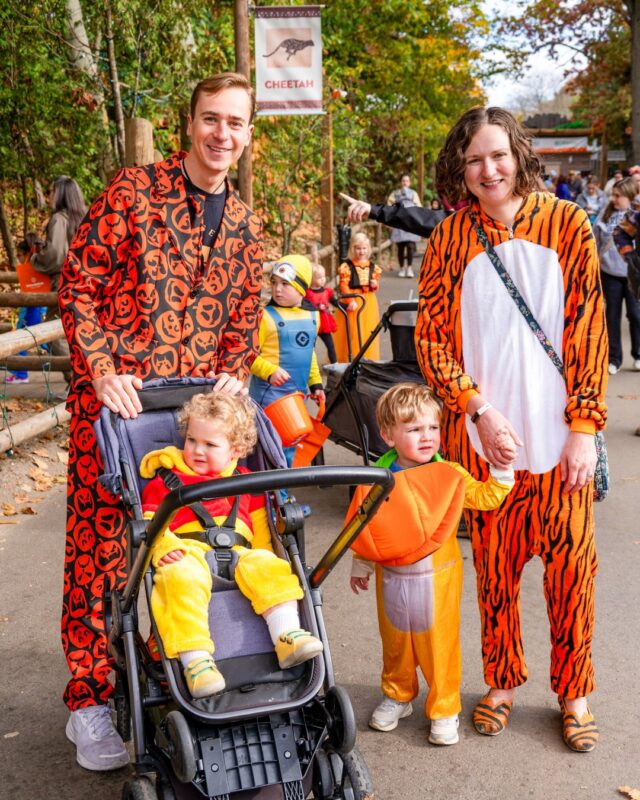 🍭👻 Costumes, candy, and creatures- oh my! Join us for Spooky Zoo on October 18 & 25. Trick-or-treat through the Zoo, meet costumed characters, and watch our animals enjoy some fall-themed enrichment fun! 🐻🍂

This event is included with Zoo admission and free for RWPZoo members! For more info visit link in bio.