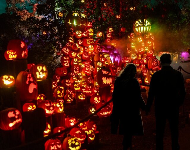 🎃 Leave the kids (and the strollers!) at home- it’s your turn for some grown-up fun at the Jack-O-Lantern Spectacular! ✨ On November 2nd, enjoy an exclusive 21+ night out featuring a welcome drink, live music, and cozy fire pits. Stroll the glowing pumpkin trail and toast the end of spooky season in style. 🔥🎶 Grab your tickets now at rwpzoo.org/event/jols-last-call/