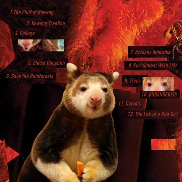 Be sure to stream The Life of a Roo Girl at midnight! ❤️‍🔥 

#TheLifeofaShowgirl #TaylorSwift #AlbumRelease