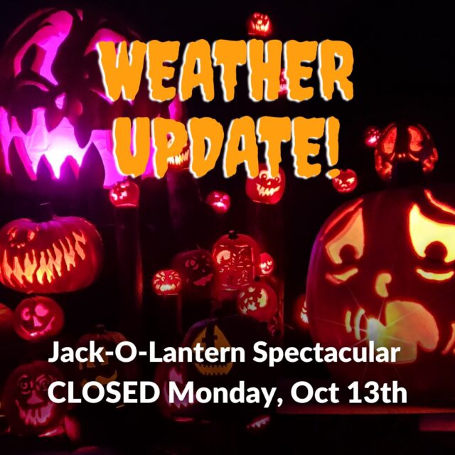 Due to forecasted strong winds and rain, Jack-O-Lantern Spectacular has been canceled for TONIGHT, Monday, October 12th.

🎟️ Ticket Info:
If you’ve pre-purchased tickets for Monday (10/13), you may reschedule for any remaining night of the event through November 1 OR if you would like to request a reimbursement, contact our Guest Services team at info@rwpzoo.org or by phone at (401) 785-3510 ext. 316. 

When contacting us, please be sure to include your order number for a faster process. Thank you for your understanding! 🎃