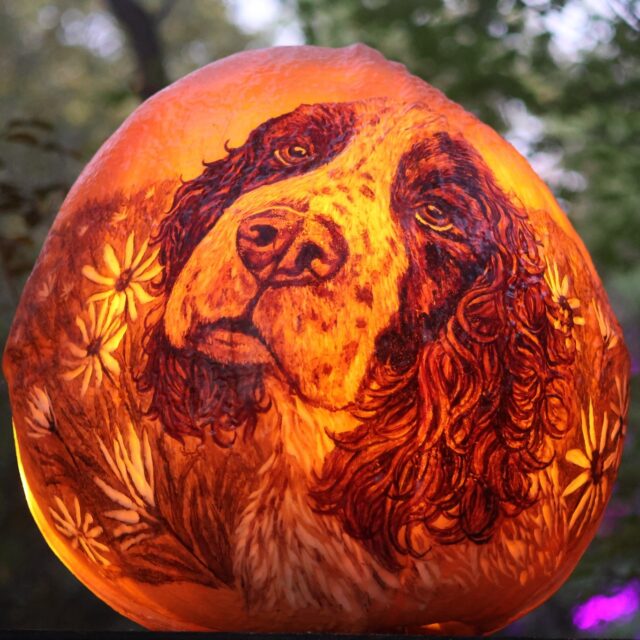 🎃✨ Sensory-Friendly Nights sponsored by @abacentersri at the Jack-O-Lantern Spectacular tonight & tomorrow! A festive experience for individuals with Autism Spectrum Disorders (ASD) and sensory processing differences, and their families! 

Join us an hour before the trail opens on 10/21 & 10/22 from 5:00 – 6:00 pm for a sensory-friendly viewing of the magnificent glowing pumpkins along the Wetlands Trail. What to expect: All 5000+ stunning jack-o-lanterns will be lit. No crowds and no music or special effects for a calm and enjoyable environment. 

Please note: Tickets available in-person only. We highly recommend arriving early to make the most of your time, as the regular music and effects will begin promptly at 6:00 pm when the event opens to the general public.
