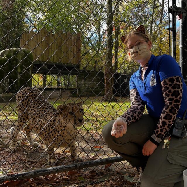 Spot the difference 👀 🐆 Our keepers got into the Halloween spirit and dressed up as the animals they care for! We are truly thankful for their dedication and for always keeping it fun! 👻🎃 Happy Halloween! 

Cheetah: Keeper Jill
George Porcupine: Keeper Emily
Nubs Vulture: Keeper Kim 
Red Crowned Cranes: Keepers Bri and Nikki