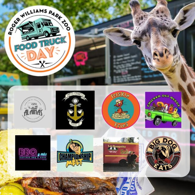 🚚 Food Truck Day at the Zoo: Veteran’s Day Celebration! Tuesday, Nov 11th, 11AM- 3PM. Enjoy a variety of sweet and savory food trucks and live music by Dan San Band Duo and the Unlikely Strummers, while you spend a beautiful fall day visiting our animal friends. (Food/drinks will be available for purchase.)

In honor of Veterans Day (and every day!), all active-duty and retired U.S. military personnel get 50% off regular daytime admission for themselves and up to four immediate family members (with a valid ID). 

This special event is in partnership with @pvd_foodtruckevents