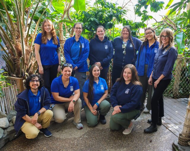 Happy International Zoo Educators Day! 🌎 Today we celebrate the incredible educators who inspire curiosity, spark conservation action, and connect people with wildlife every single day. From classrooms to camps to animal encounters, they make learning wild and wonderful!

Drop a 💙 in the comments to thank our amazing Zoo Education team! #IZEday2025