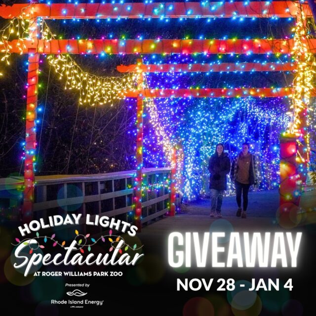 🎄✨ Holiday Lights Spectacular opens in ONE WEEK! To celebrate, we're giving TWO lucky winners a chance to visit for FREE!

PRIZE DETAILS: Two (2) winners will win admission for four (4) guests to visit Holiday Lights Spectacular, Nov 28-Jan 4.

TO ENTER:
🎁 Give us a Follow
🎁 Like this post
🎁 Who shines brightest in your life? Tag your crew for a spectacular holiday adventure!

Holiday Lights Spectacular is back - wilder than ever - with NEW experiences, including festive Frozen photo-ops, story time with Roger, all-new Elf Power VR experience, visits with Santa and more! Link in bio for more info 🎄

Giveaway ends Nov 23 at midnight. Winners will be announced on Monday, Nov 24 and contacted via DM. 

⚠ No purchase necessary. This promotion is in no way sponsored, endorsed or administered by, or associated with Meta. We will never ask for any financial information or to click external links. Please beware of potential scams.