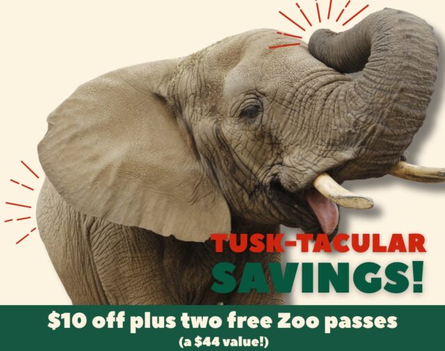 Secure a YEAR of unforgettable memories with our wildest deal, but hurry, it disappears TONIGHT! Save $10 on a RWPZoo membership PLUS get TWO FREE Zoo passes to share! 

🎁Use code CYBER25 at: rwpzoo.org/membership
‼️HURRY! This offer vanishes at midnight!