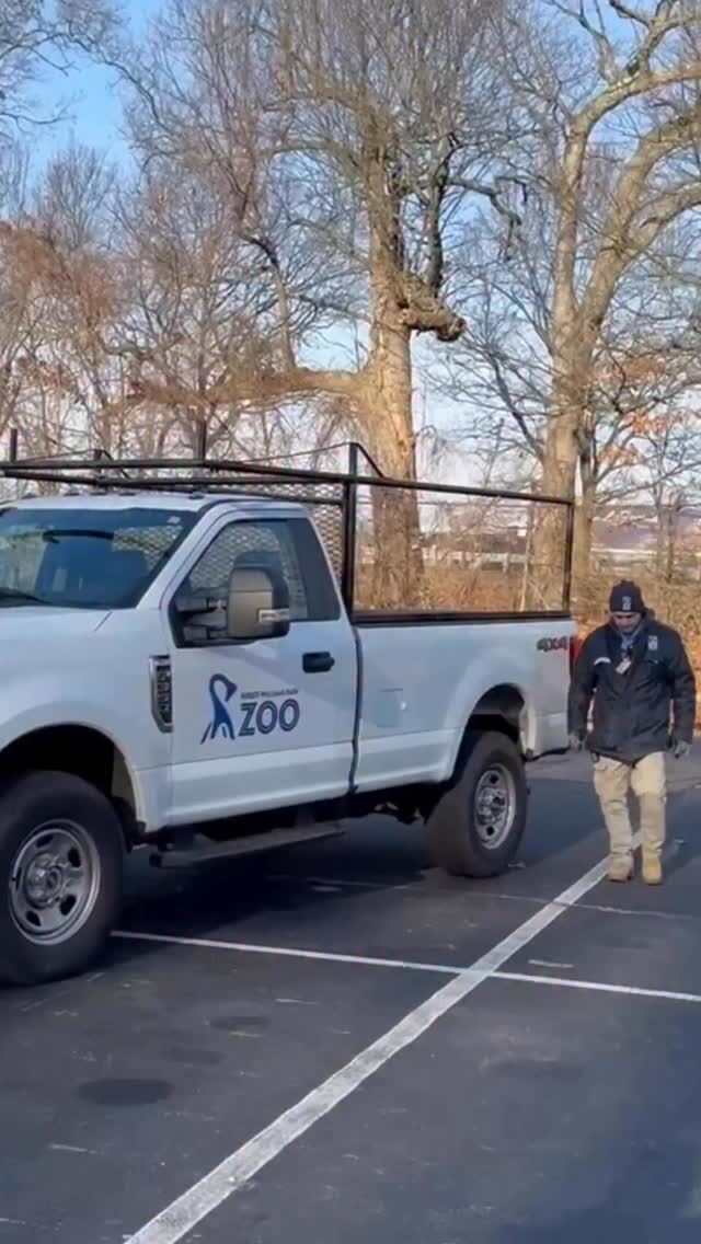 😤 The snow isn’t ready for this wild crew. Our plow team is gearing up for the upcoming ❄️ forecast with their choice of walk up songs. 

Did you know- our Zoo uses salt that is safe for plants and animals and sand on our wetlands trail so we don’t negatively impact our local environment!