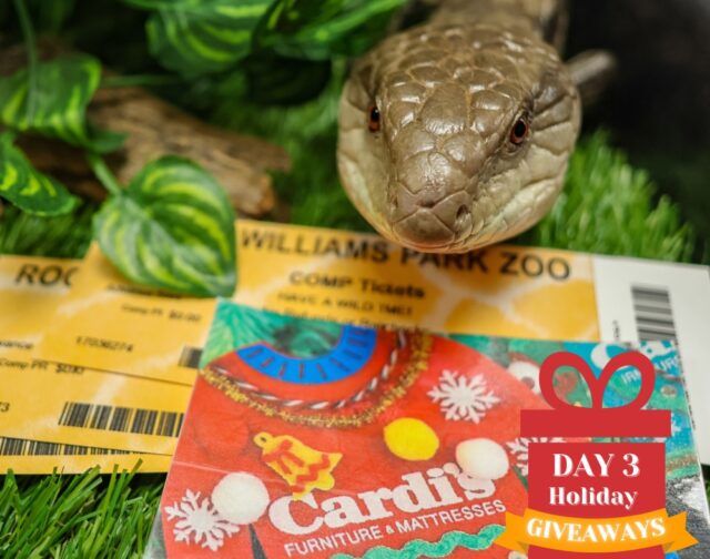 Thanks to our amazing friends at @cardisfurniture, TWO winners today will receive a fantastic prize package: 6 daytime Zoo admission tickets AND a $100 gift card to Cardi’s Furniture & Mattresses! 

TO ENTER:
❤️Like this post.
🐾Follow @rwpzoo and @cardisfurniture
👯 Tag a friend who deserves a shopping spree AND a Zoo day!

Winners will be notified via DM tomorrow afternoon.

⚠ No purchase necessary. This promotion is in no way sponsored, endorsed or administered by, or associated with Meta. We will never ask for any financial information or to click external links. Please beware of potential scams.