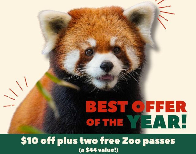 It's the WILDEST DEAL of the Year! Now through Cyber Monday, unlock a year of adventure at RWPZoo and save $10 on any membership plus get TWO FREE Zoo passes!

🎁 Use code CYBER25 to join or gift today: rwpzoo.org/membership
🗓️ Hurry, this offer ends Monday!