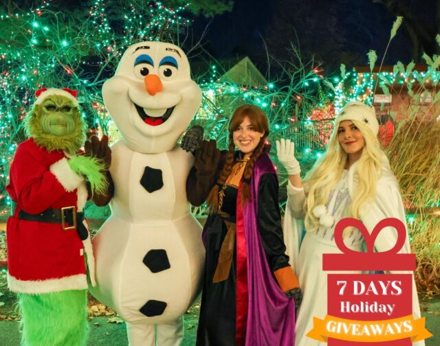 ✨ We’re kicking off our 7 Days of Holiday Giveaways in a BIG way with our friends @goprovidence! Six lucky winners will receive FOUR tickets to experience the magic of our Holiday Lights Spectacular!

TO ENTER:
❤️Like this post.
🎄Follow @rwpzoo and @goprovidence
✨Tag a friend who makes your world shine bright! 

Winners will be notified via DM tomorrow afternoon.

Holiday Lights Spectacular is back through January 4th with exciting experiences, including festive Frozen photo-ops, story time with Roger, visits with Santa and more! 

⚠ No purchase necessary. This promotion is in no way sponsored, endorsed or administered by, or associated with Meta. We will never ask for any financial information or to click external links. Please beware of potential scams.