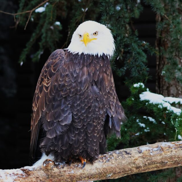 How it feels on a rainy Monday after a holiday break 😐