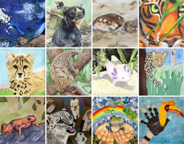 Calling all young New England artists! 🎨🐘 The Zoo’s Endangered Species Youth Art Contest is officially open (and free!) for all students in grades K–12. Whether you love painting or sketching, use your talent to celebrate wildlife.

Submit your work by April 5, 2026, and find all the details at bit.ly/rwpzoo_artcontest