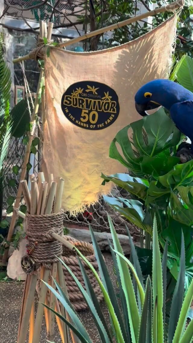 📍 Roger Williams Park Zoo was Rhode Island’s Survivor 50 Idol hunt location! 

Congrats to all of the fans who cracked the code and braved the cold to find the idol at the Zoo! We loved meeting everyone and being a part of the fun. 

Survivor 50 premieres on Wednesday, February 25 on CBS and Paramount+ 📺 
 
 #survivor50 #survivor50idolhunt @Survivor @CBS