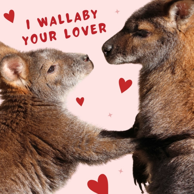Send your fav to your Valentine! 💌

Celebrate your favorite human by helping their favorite animals. Spread the love and make a donation in their honor this Valentine's Day at bit.ly/donate_vday26 or link in bio 💗