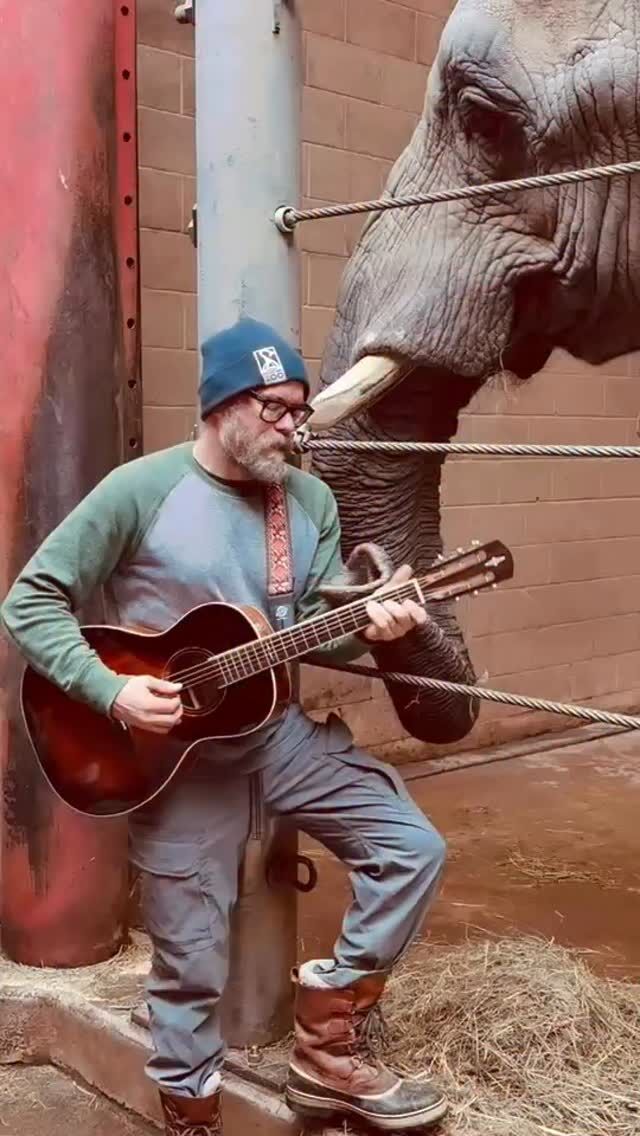 Keeper by day, musician by night 🎸🐘 Keeper Brett shared a very sweet moment with elephant Kate as he serenaded her with Something by The Beatles. 

Musical enrichment like this provides auditory stimulation, promotes relaxation, and fosters curiosity and play! 🎶