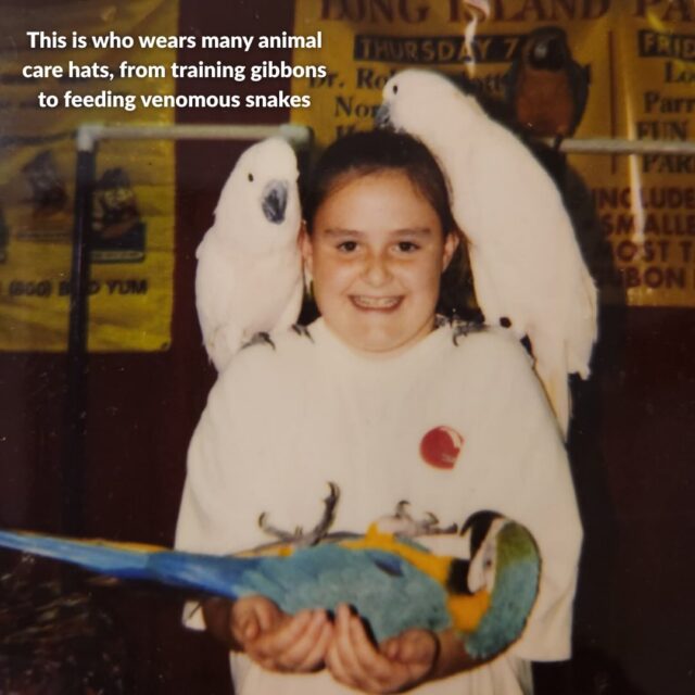 This is who had a love for wildlife and a dream 💭

•
•
•
#wildlife #thisiswho #conservation #zoo #careers