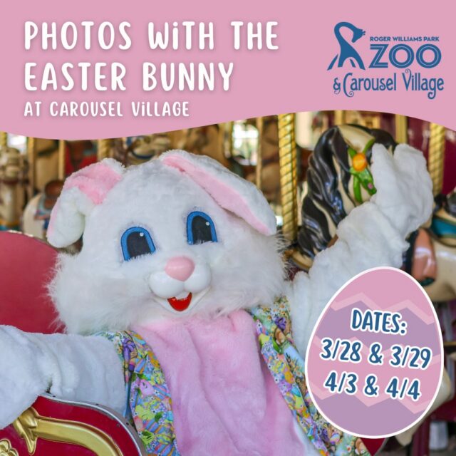 Hip-hop-hooray! 🐰 The Easter Bunny is hopping over to Carousel Village this weekend for some fun. For just $5, you can capture a photo that’s eggs-tra adorable! And don’t forget to take a spin on the carousel while you're here. 🎠

VIP experiences also available- tickets are limited, so spring on over to bit.ly/rwpzbunny26 to plan your visit. 🐣