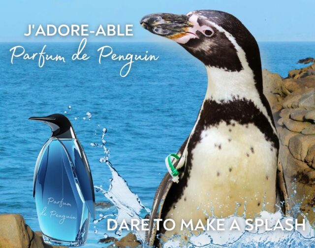 Smell like the wild! 🐧🌊 Our new fragrance Parfum de Penguin has finally dropped. Featuring notes of Sea Salt and Krill, with a hint of Fishy Breath. It’s the scent that says, 'I spent my day at the Zoo, and I never want to leave.' Get yours today at www.rwpzoo.org/parfumdepenguin