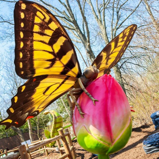 Have you heard the buzz? 🐝🐞 A Bug's World is NOW OPEN at Roger Williams Park Zoo! Step into a world of 60+ larger-than-life insects and experience a big adventure from a small point of view.

Fly over to rwpzoo.org/bugs (or link in bio) and grab your tickets now! 🦋