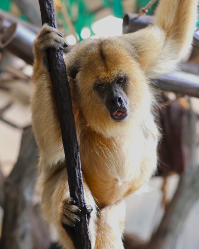 Hang in there, it's almost Friday! 😝