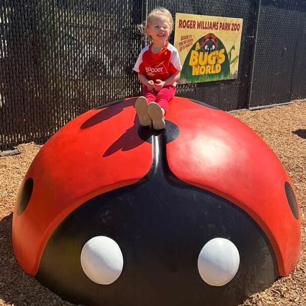 Don't let spring break 𝒇𝒍𝒚 𝒃𝒚 without a visit to the Zoo and A Bug's World! 🐞 The Zoo is the place to 𝒃𝒆𝒆 for a week of wild adventures. 

Connect with your favorite animal friends, shrink into A Bug's World, and splash, play, and explore in the Big Backyard. There's fun for the whole family, so plan your visit today at rwpzoo.org! 🦒🐝☀️