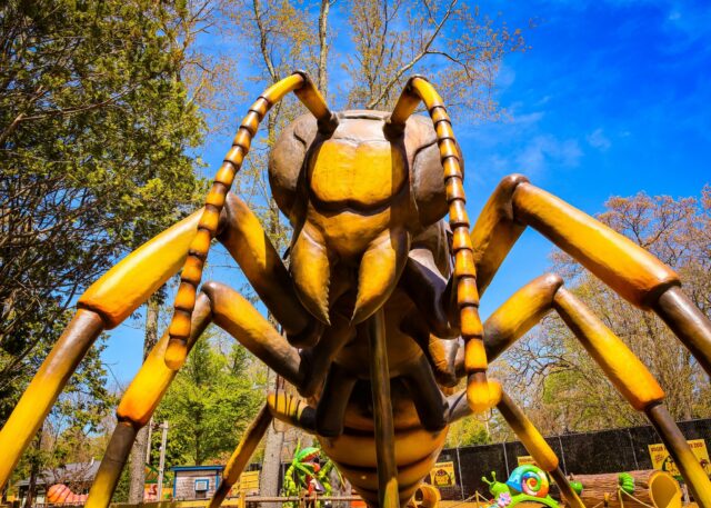 🐝You won’t want to wasp any time heading down to see these massive animatronic marvels at A Bug’s World, where you can get an up-close look at the incredible insects that keep our planet buzzing.

While they sometimes get a bad reputation, wasps are a backyard unsung hero, providing natural pest control and serving as incidental pollinators. Though their bodies are smooth, they still manage to transfer pollen from flower to flower as they forage!

Fly on over and discover how even the smallest creatures play a GIANT role in keeping nature in balance!
