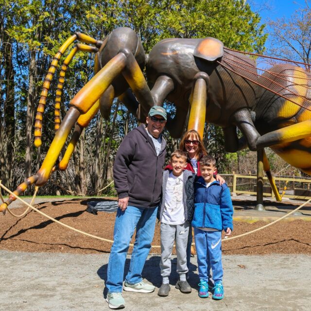 Give Mom a bee-utiful Mother’s Day with a visit to the Zoo this weekend! 🐝🌸

Looking for a way to celebrate the "Queen Bee" of your family? It’s the perfect time to explore the larger-than-life wonders of A Bug’s World and enjoy a stroll through the park visiting her favorite animals. 

And don't forget, moms get free Zoo admission on Mother's Day Sunday, May 10th! Make her visit extra fly by adding tickets to A Bug's World for some un-bee-lievable family fun >> rwpzoo.org/bugs 🦋