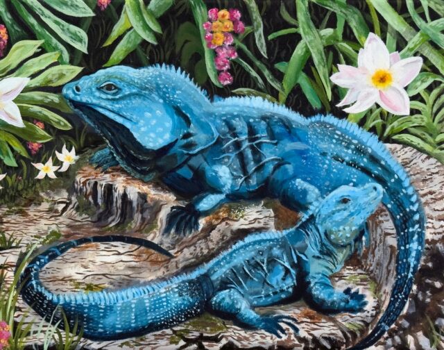 Huge congratulations to the winners of our 9th annual Endangered Species Youth Art Contest! 🎉

Young artists from across the Northeast blew us away with over 400 stunning submissions, showcasing incredible creativity to raise awareness for the world's most threatened and endangered wildlife. This #EndangeredSpeciesDay, these inspiring masterpieces don't just celebrate the next generation of conservation advocates, they ignite a powerful reminder of why we must protect these creatures and their wild homes. 

Be sure to check out the full list of winners & honorable mentions www.rwpzoo.org/programs/youth-art-contest, and don't miss the chance to see these beautiful pieces displayed in person at the Zoo’s Big Backyard exhibit later this month. 

Finally, a huge thank you to our co-partner, @jerrysprovidence for their continuous and invaluable support!