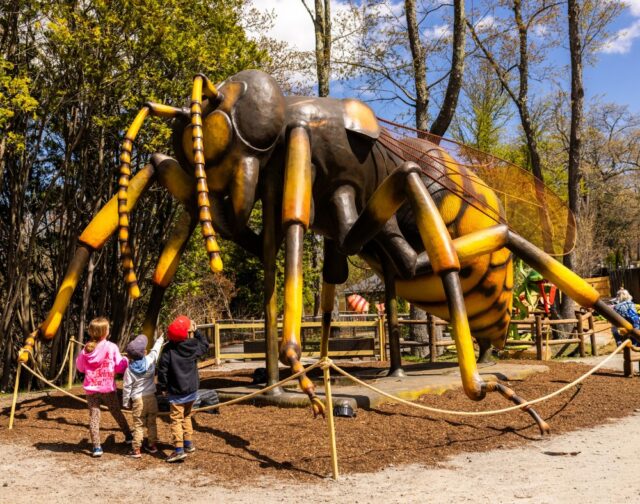 Experience the buzz of the Zoo after hours at our A Bug's World Family Fun Night (June 6)! 🐝🐘🐛🦒

This Saturday, June 6th, join us from 5-9 PM and get full evening access to explore the Zoo after the crowds leave, and experience A Bug's World, a trail of over 60 supersized bugs (all for nearly half the cost of a daytime ticket!) Don't miss out on the giant-sized fun! >> bit.ly/bugsfamily-june

(Giant wasp photo credit: Go Providence)