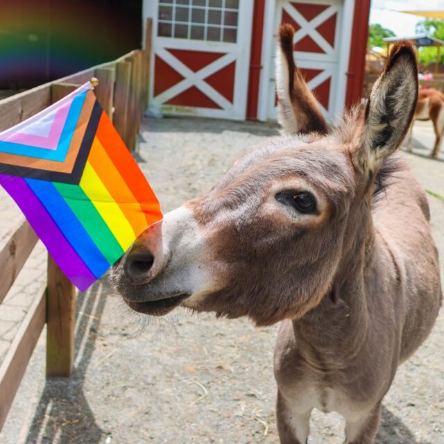 Happy Pride Month from all of us at RWPZoo! 🌈 We're celebrating the diversity that makes our natural world, and our community, so incredibly beautiful.

The Zoo is proud to be a safe, vibrant, and welcoming space for everyone. We remain dedicated to fostering a culture where diversity, equity, accessibility, inclusion, belonging, and justice are at the heart of everything we do.