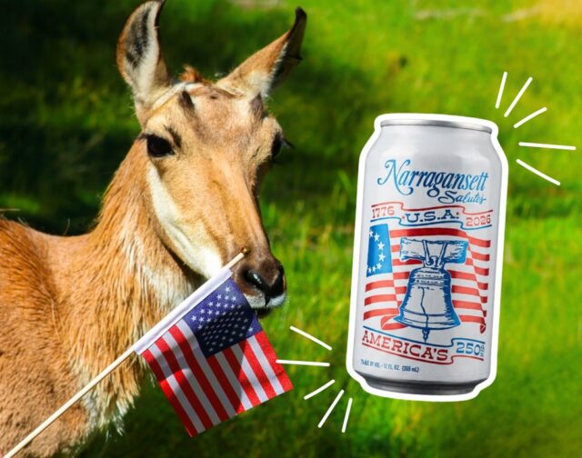 GIVEAWAY ALERT! 🎉 🦬🦅 Get ready for a monumental night out! We’ve partnered with the one and only @gansettbeer_taproom to give YOU a chance to win a PAIR of tickets to Zoobilee on Saturday, June 27th! ✨

Get set for a night of truly WILD fun, all while supporting wildlife and wild places. Indulge in delicious bites from dozens of the area’s top restaurants and sip on refreshing cocktails. And yes, our pals at Narragansett Brewery will be there pouring their famously refreshing, America’s 250th brews! 🍻

TO ENTER:
❤️ LIKE this post
👯 TAG the friend you’d bring to this unforgettable party
➡️ FOLLOW both @rwpzoo AND @gansettbeer_taproom 

One winner will be chosen at random on Monday, June 8th and contacted via DM. Good luck!

⚠ No purchase necessary. This promotion is in no way sponsored, endorsed or administered by, or associated with Instagram.